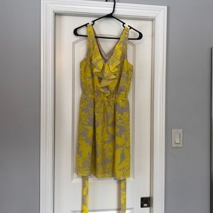 Express Sleeveless Dress
